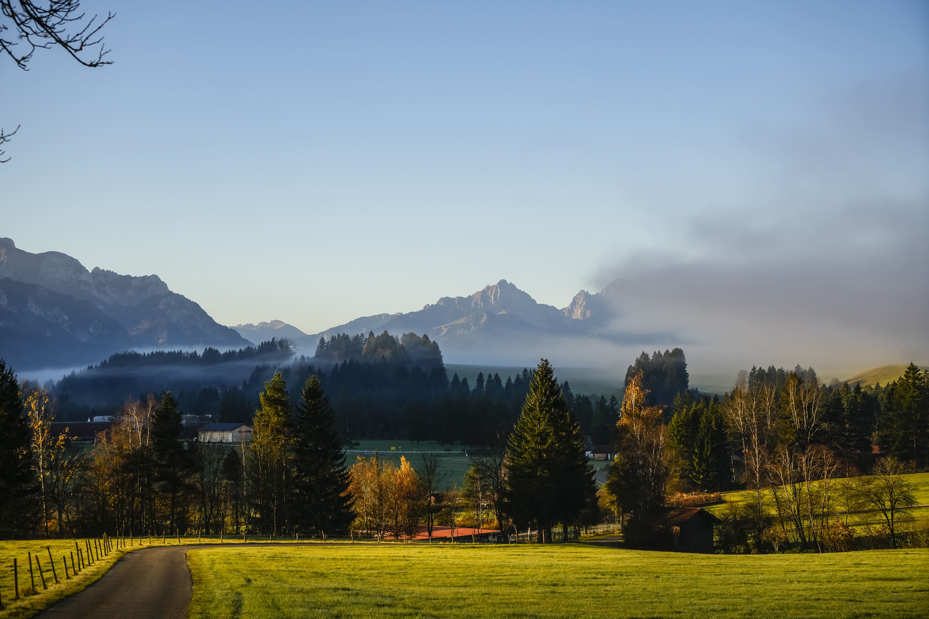Grünes Tal mit Nadelbäumen und Bergen im Hintergrund, leicht neblig bei klarem Himmel am Morgen.