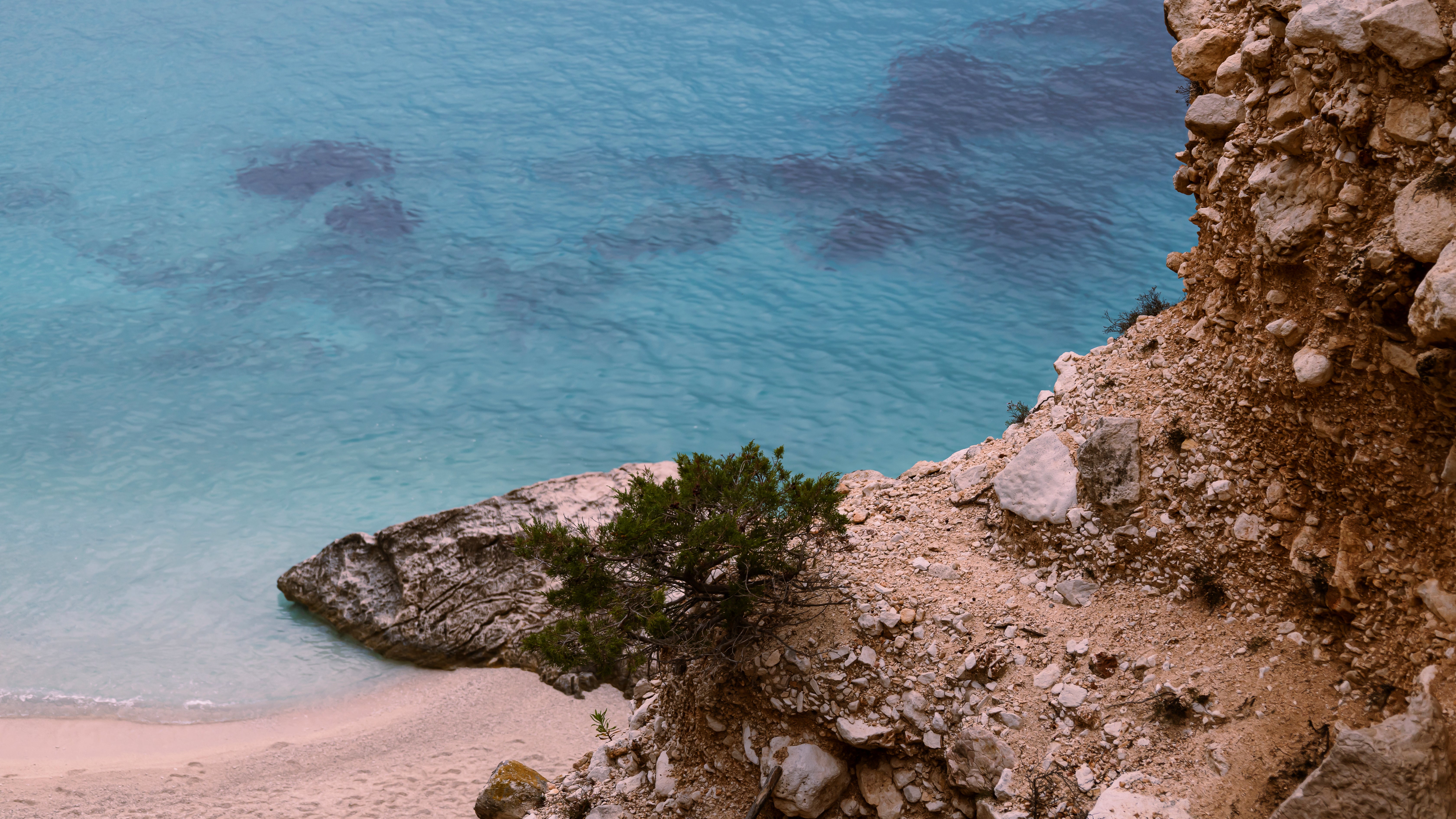Felsige Küste mit kleinem Baum an der Klippe und klarem, ruhigem blauem Meer im Hintergrund.