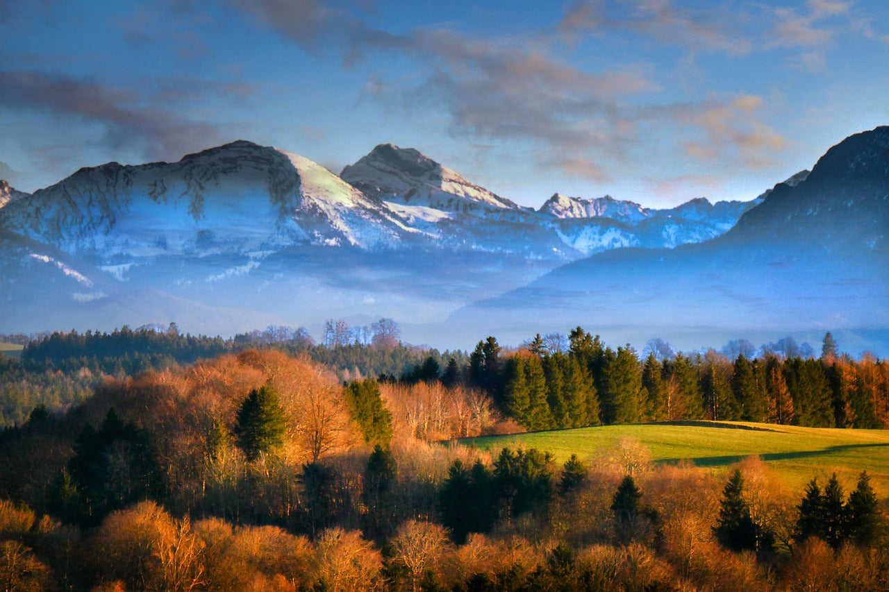 Berglandschaft mit verschneiten Gipfeln im Hintergrund und buntem Herbstwald im Vordergrund unter blauem Himmel.